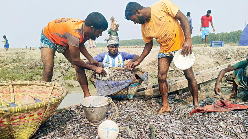 charfesson-upazila.jpg