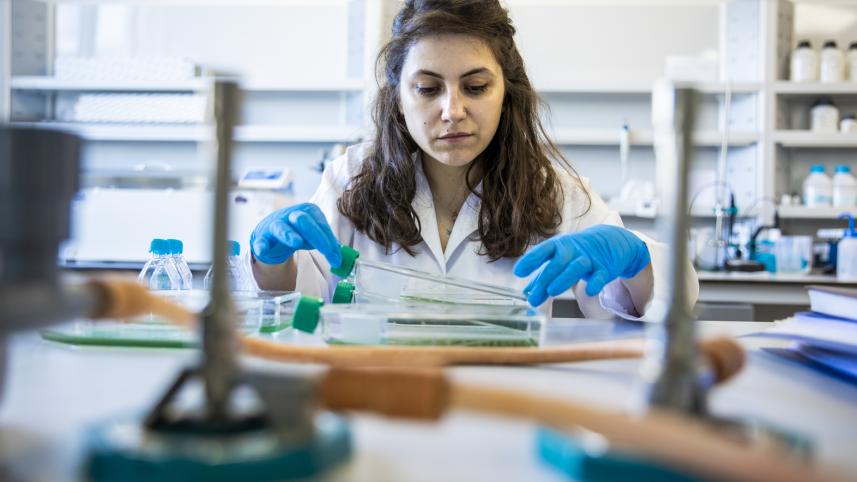 photo_women_in_stem.jpg