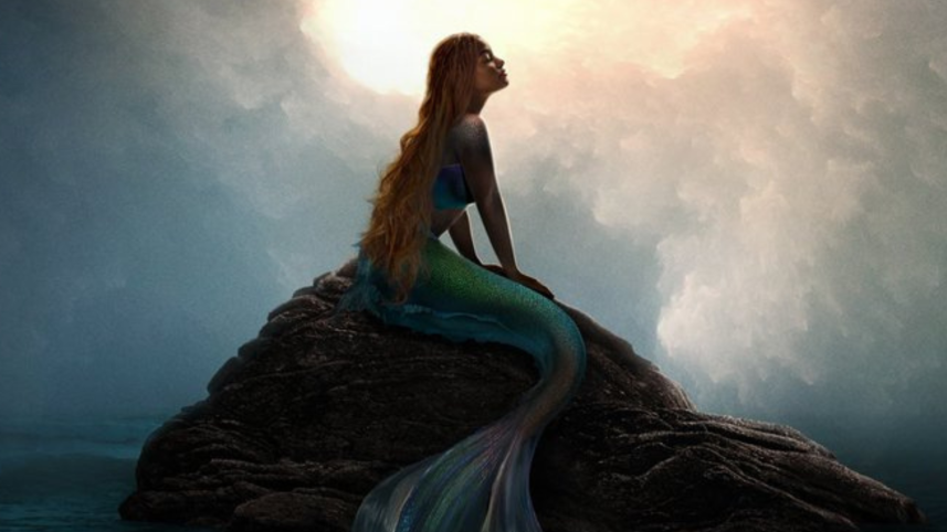 little mermaid .png