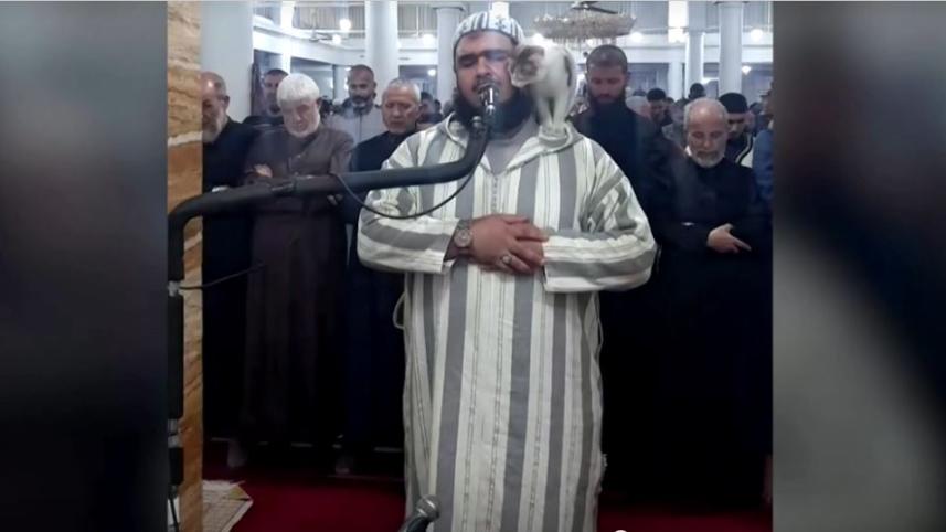 sheikh.jpg