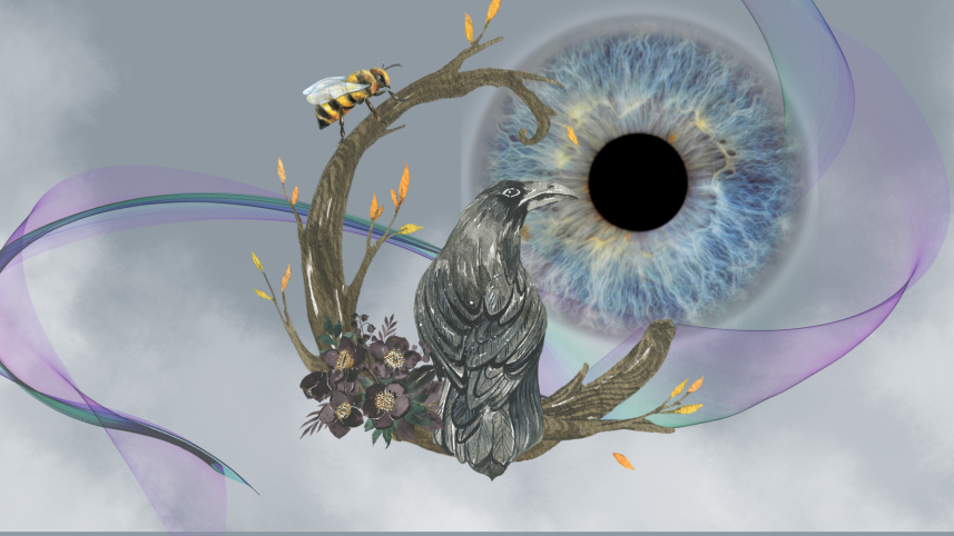 A crow and a bird. 