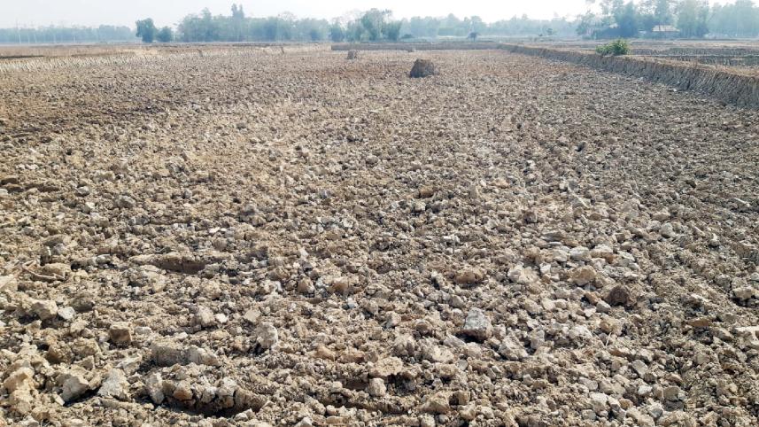 farmland-fertility-2.jpg