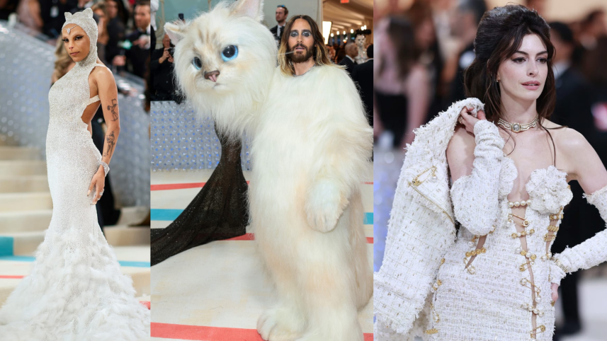 met gala .png