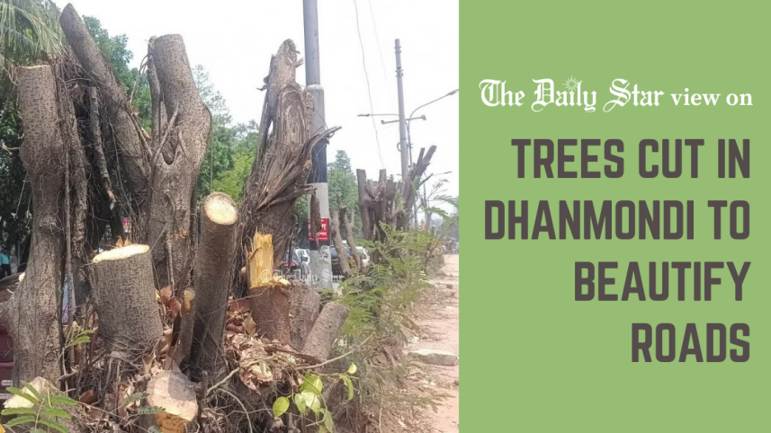 Destruction of nature to beautify roads in Dhaka