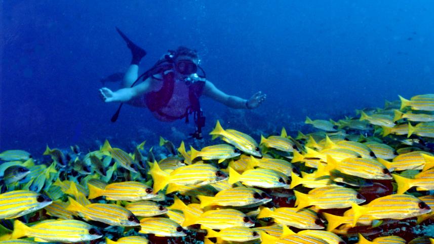 7 must-visit places for your Maldives vacation