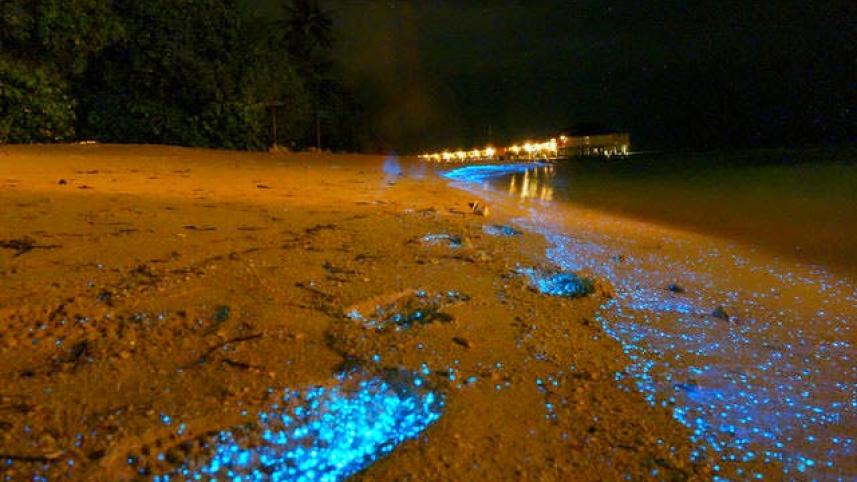 7 must-visit places for your Maldives vacation