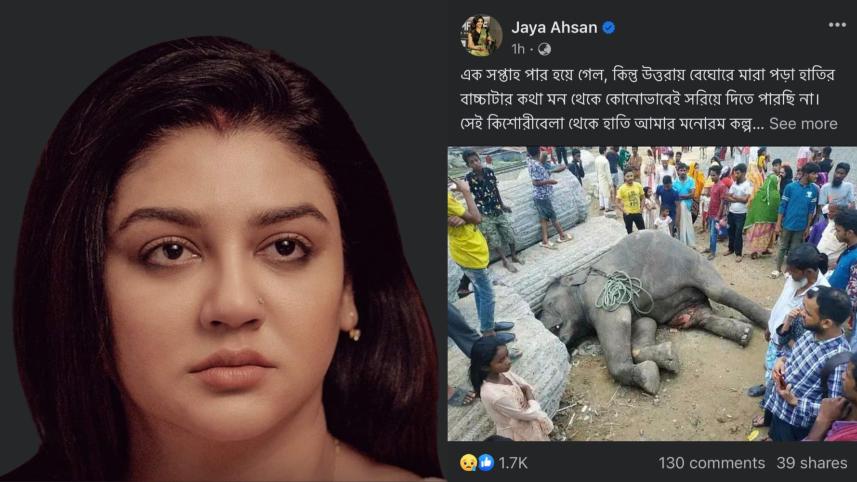 Jaya Ahsan pens emotional post after baby elephant’s death