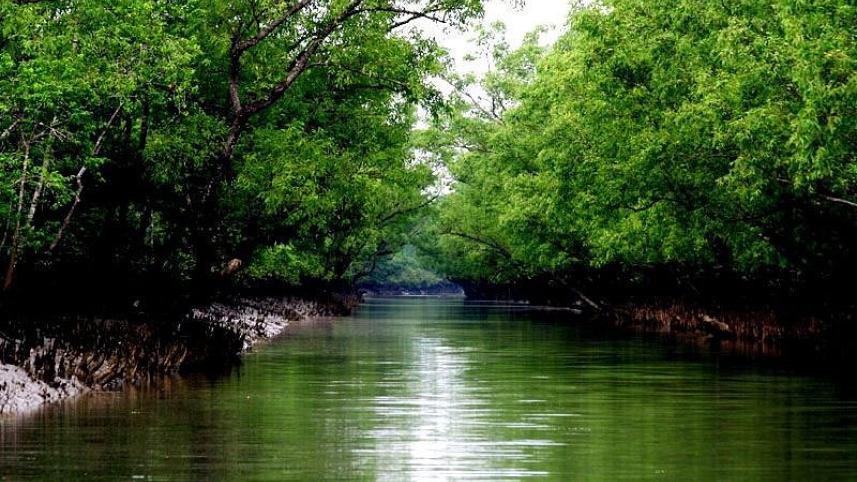 Top 5 boat tours in Bangladesh you should not miss