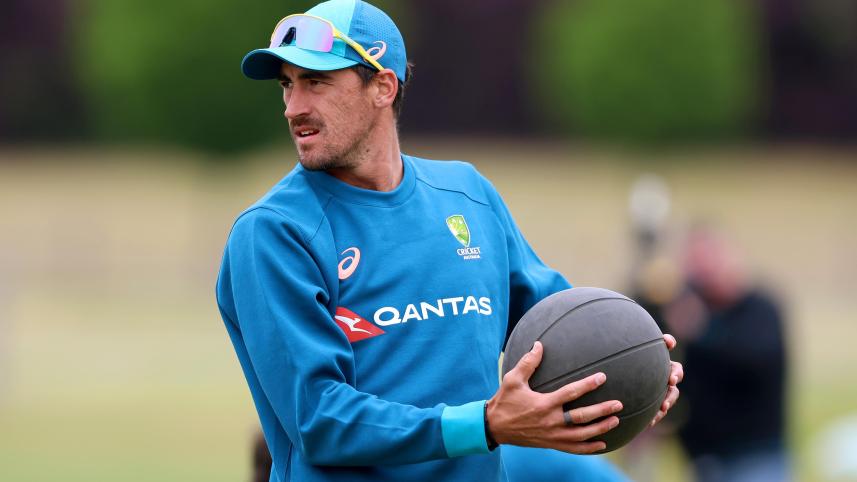 starc1.jpg