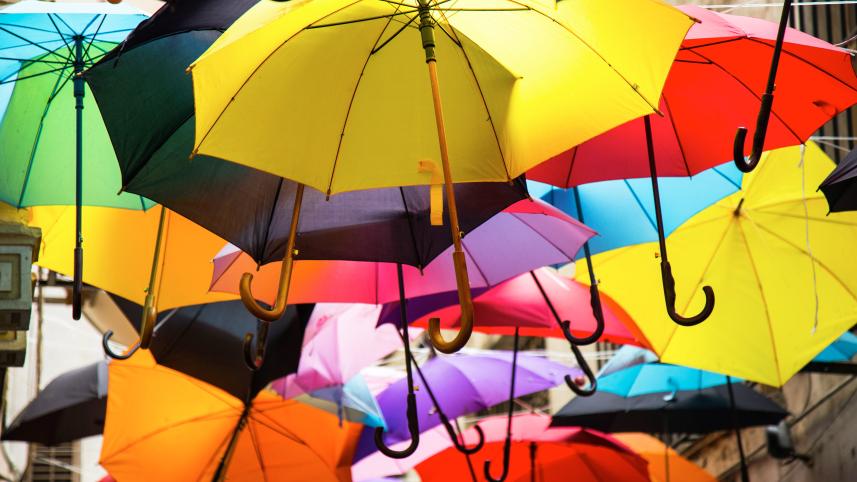Rainy day essentials: 10 must-have items for your Dhaka commute