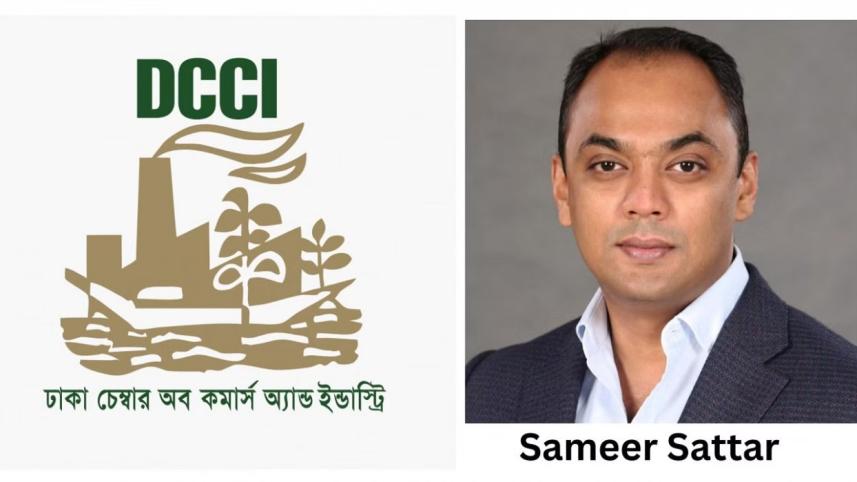 Rationalise public sector borrowing to encourage private borrowing: DCCI