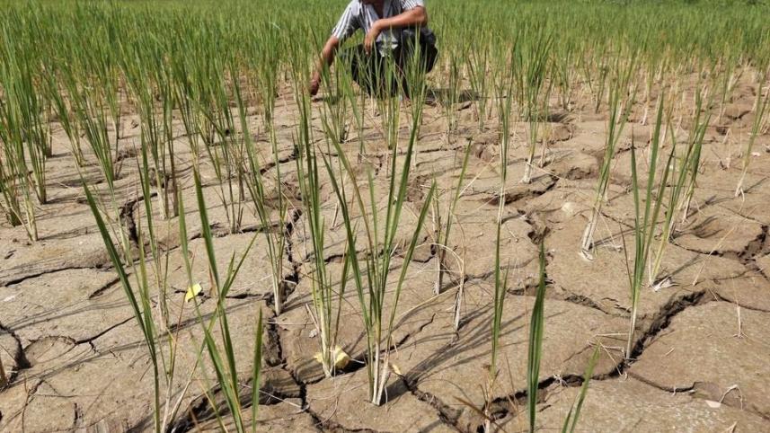 india_farming_monsoon.jpeg