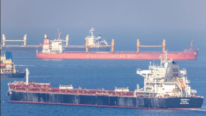 What is the Black Sea grain deal and what happens when it expires?