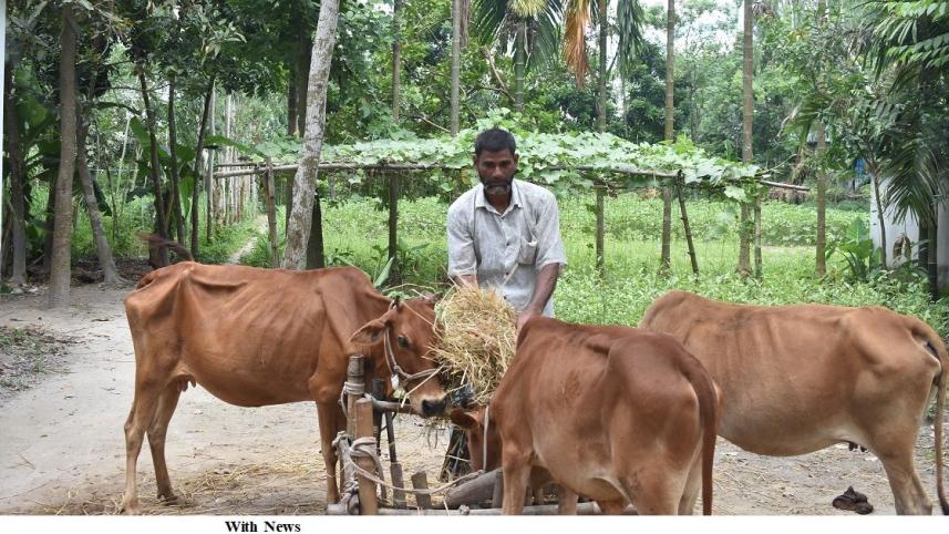c35e02_nilphamari_photo_of_remote_village_jubilant_at_23072023_8a41_asd_1.jpg