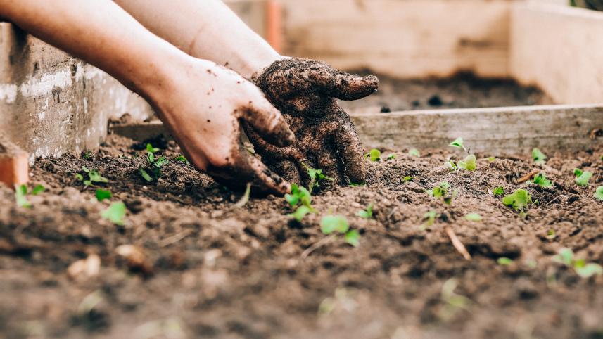4 interesting hobbies to help improve yourself 