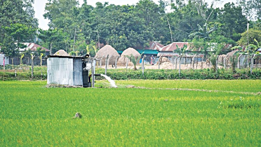 Low rainfall forces farmers to irrigate Aman fields