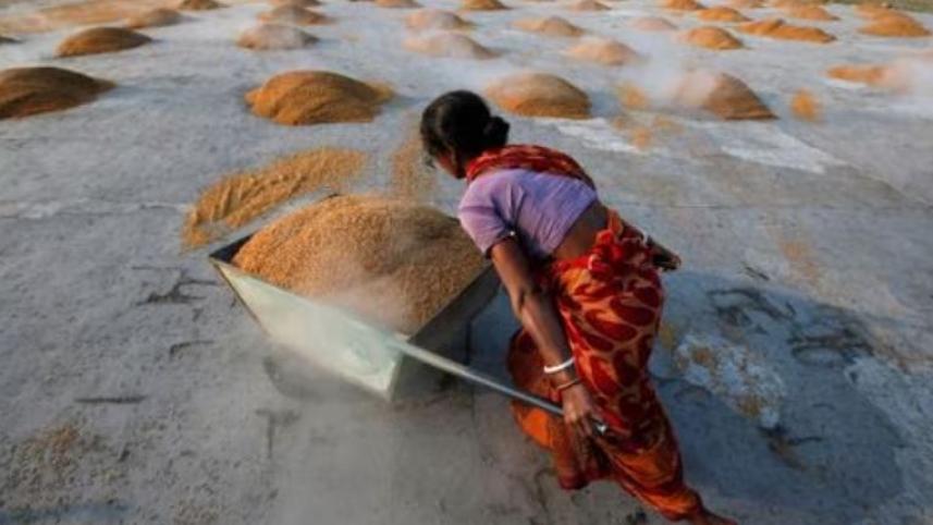 New Indian duty unlikely to affect local rice market