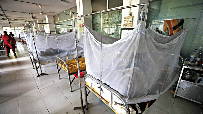 dengue-1.gif