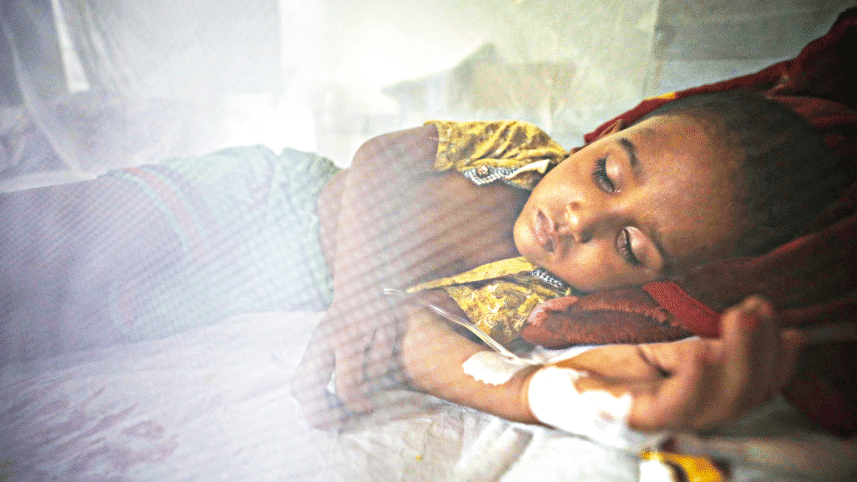 dengue-2.gif