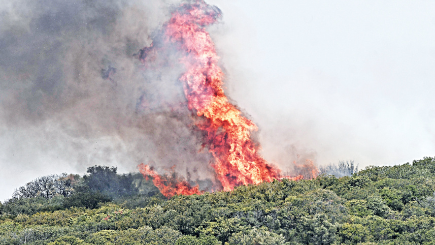 greece-wildfires.jpg
