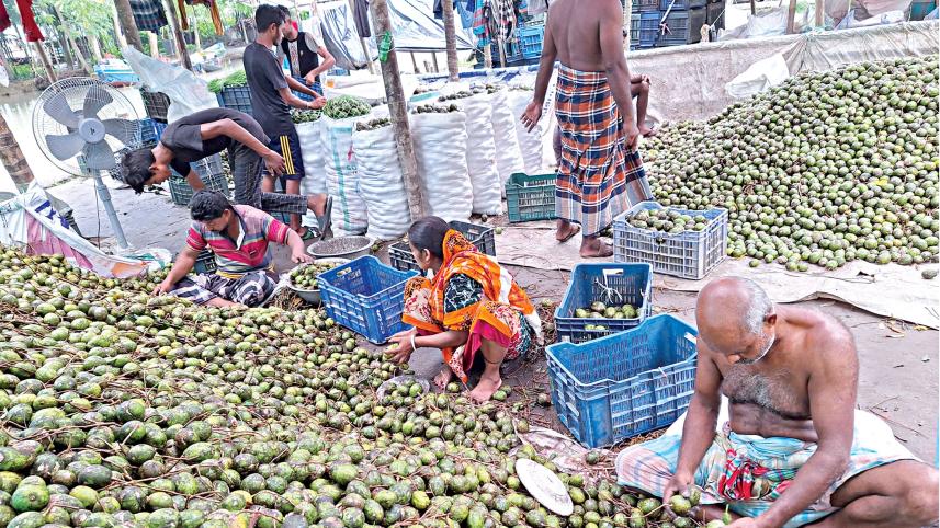 market for hog plums in Bangladesh
