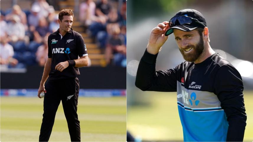 nz.jpg