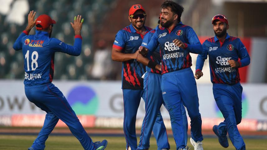rashid.jpg