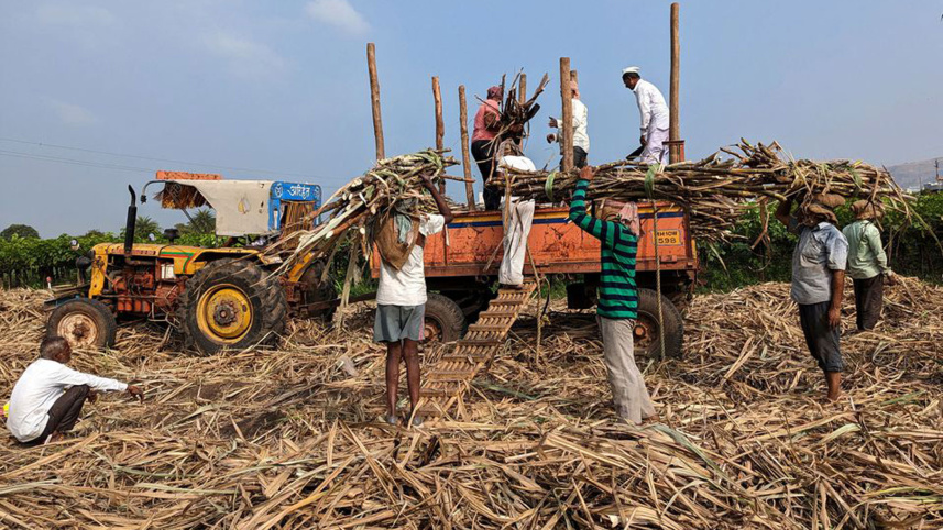 sugar-output-in.jpg
