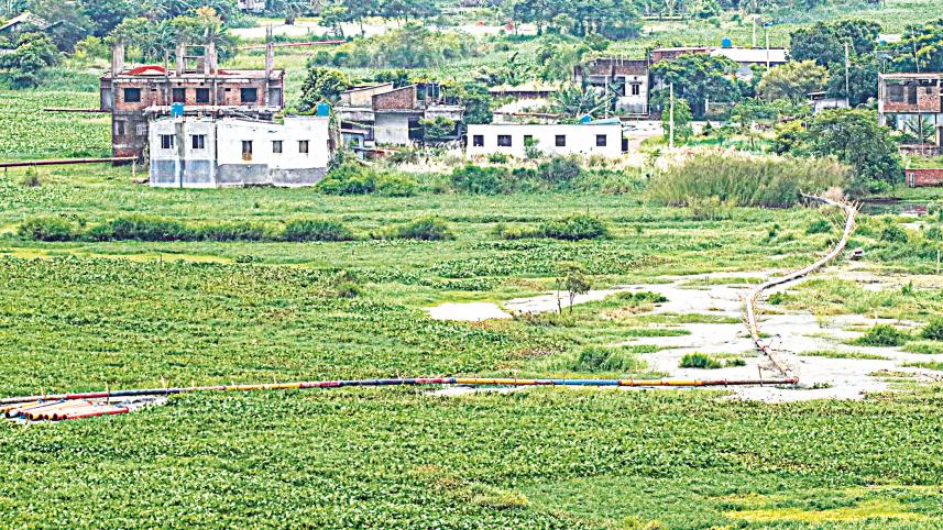 Totail Beel in Taranagar union of Keraniganj