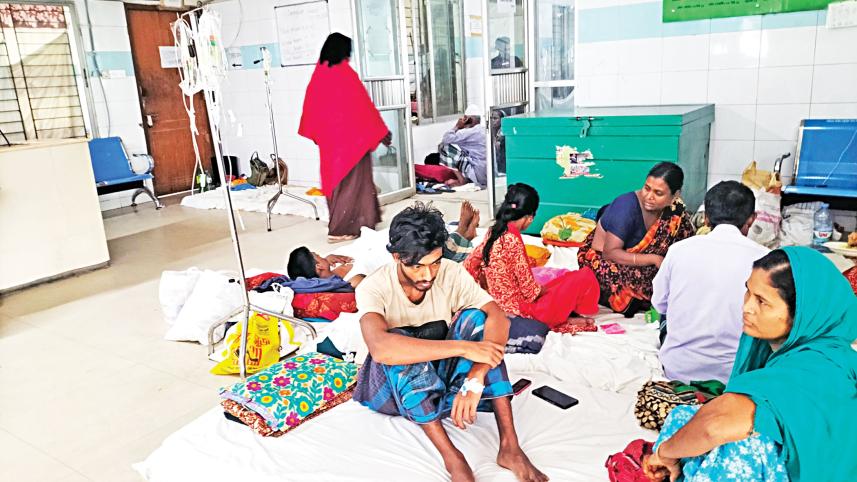 dengue-pic.jpg