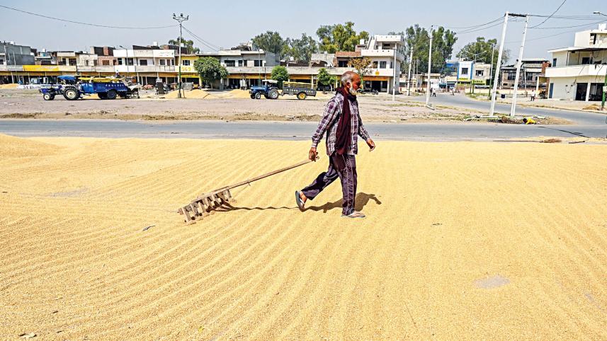 wholesale-market-in-amritsar.jpg