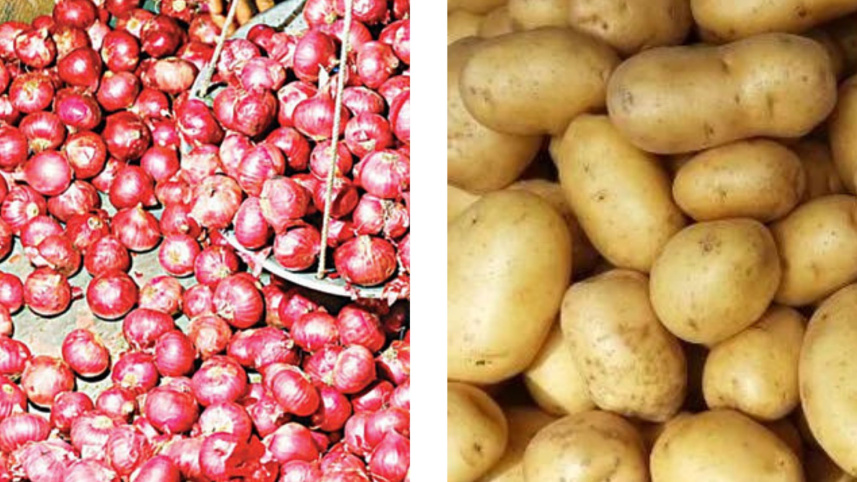 onion potato