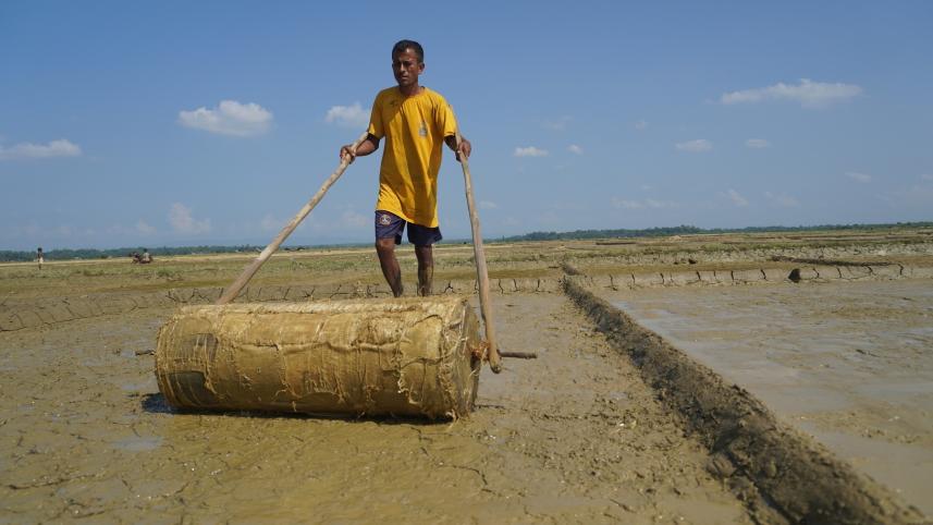 Salt farmers prepping early this year in hopes of higher profit
