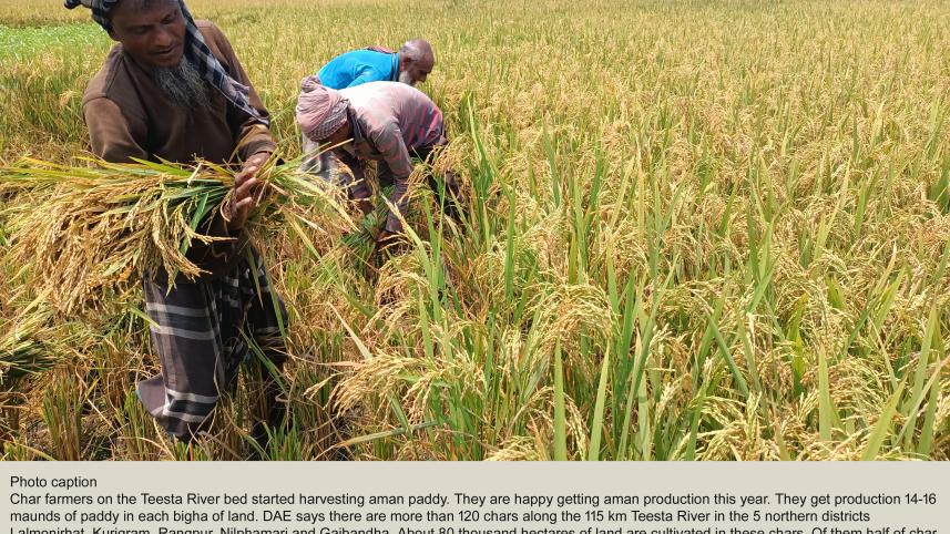 Profitability in farming on the decline: study