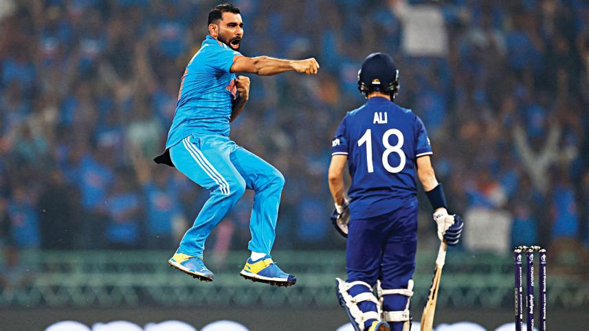 shami.jpg