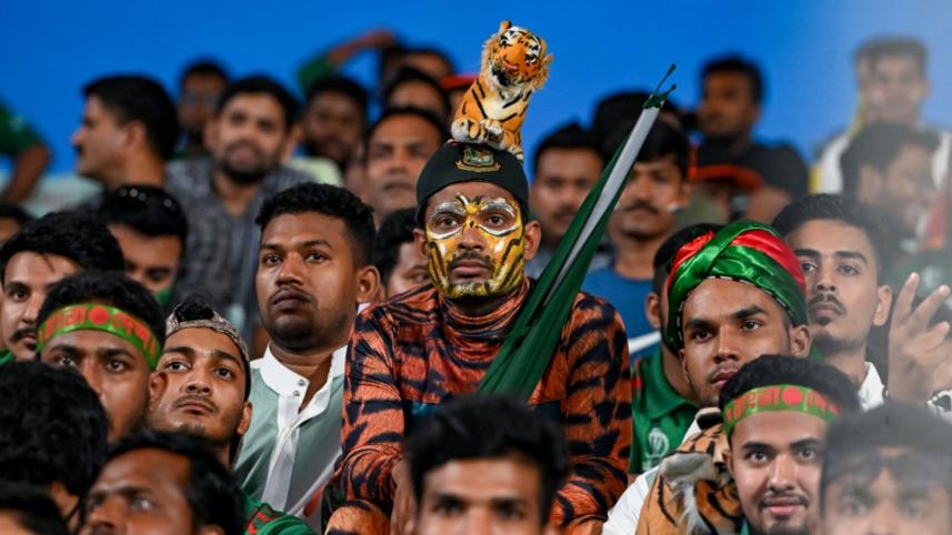tiger_shoeb.jpg