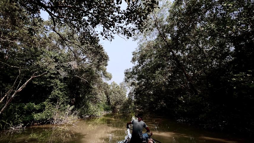 Road trip to Sundarbans: A magical escape into nature's embrace