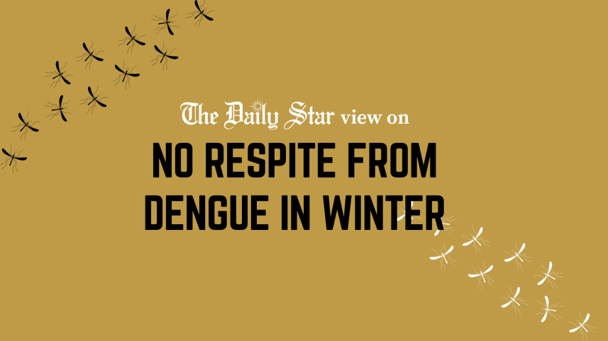 dengue in winter