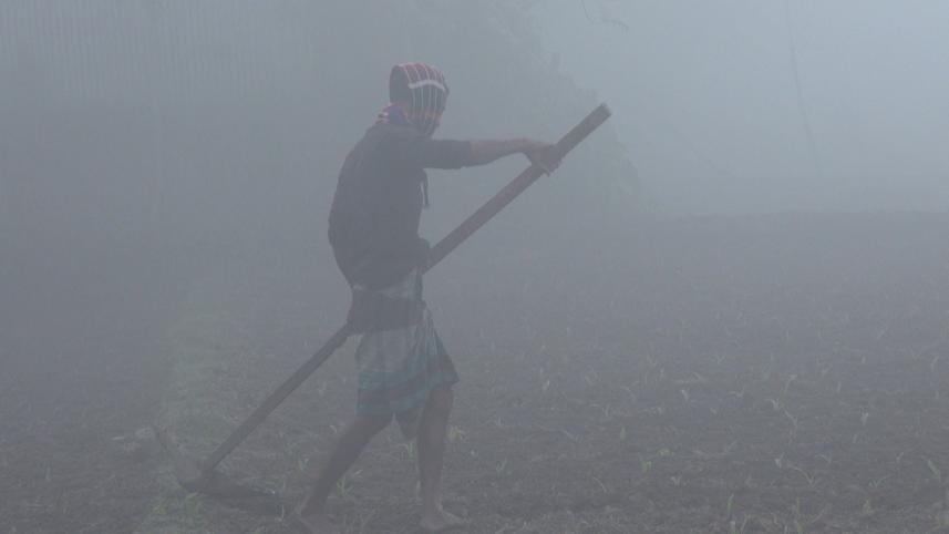 People in Lalmonirhat, Kurigram hit hard by cold, fog