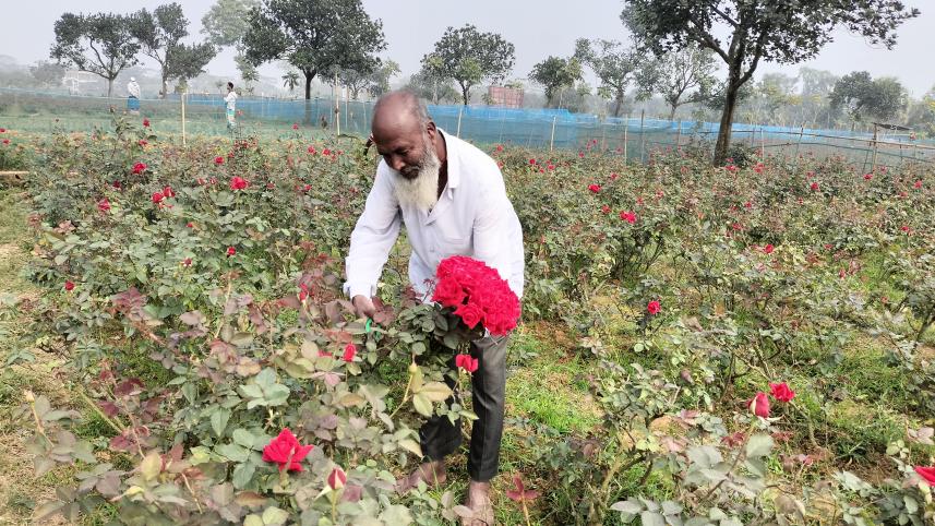 Flower farmers in Bangladesh 