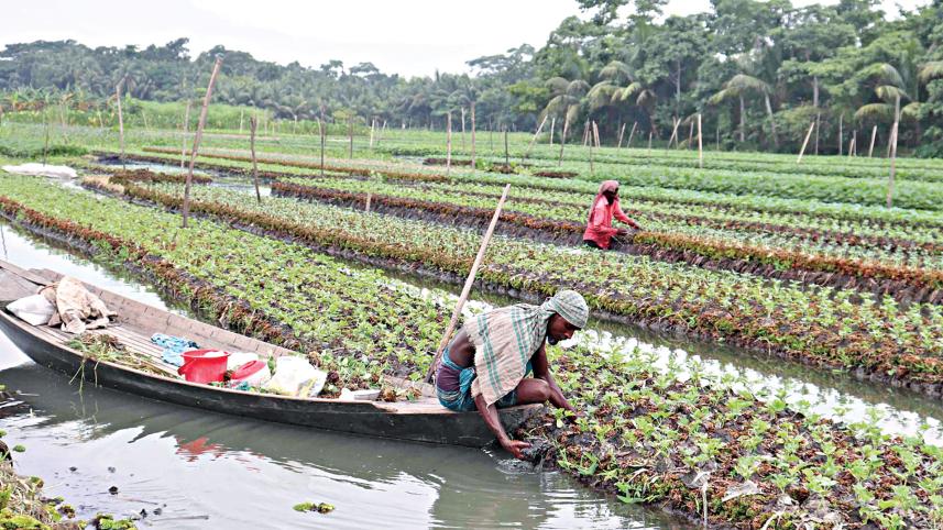 pirojpur-floating.jpg