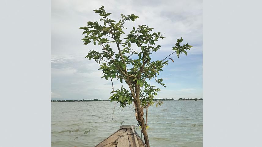 Tanguar Haor Travel Guide