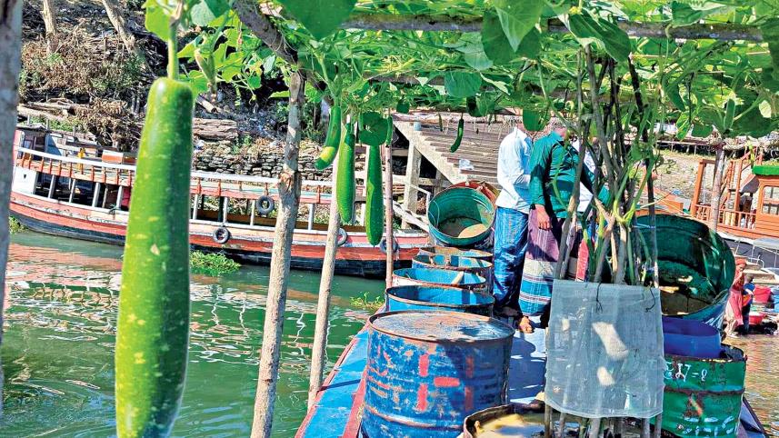 Noornabi’s floating vegetable garden