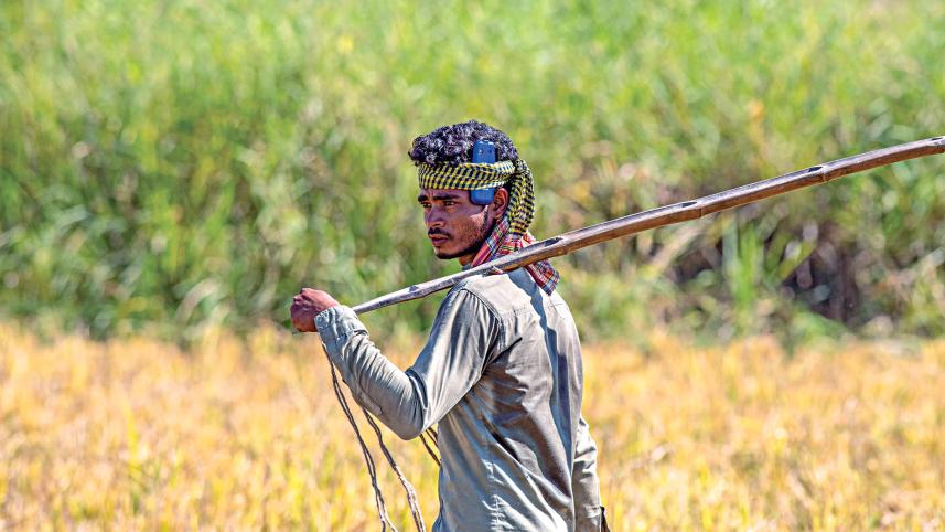 rangunia-upazila-3.jpg
