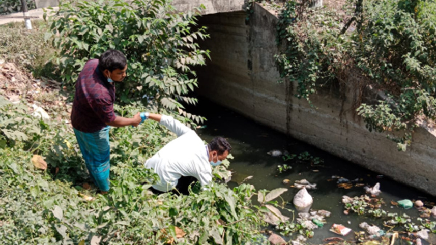 typhoid-fever-surveillance.jpg