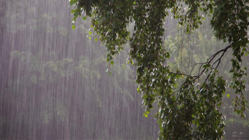Rain likely in five divisions