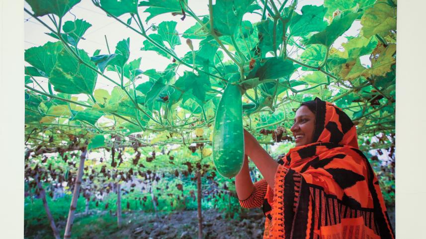 ‘Water, light and hope’: A letter from the Jamuna char lands