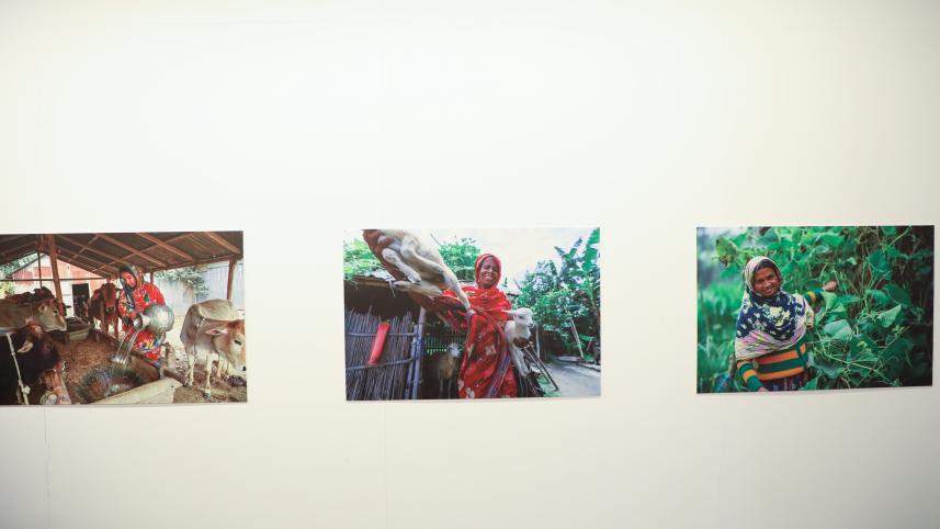 ‘Water, light and hope’: A letter from the Jamuna char lands