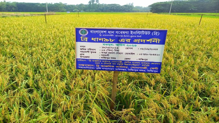 Aush cultivation incentive for farmers 