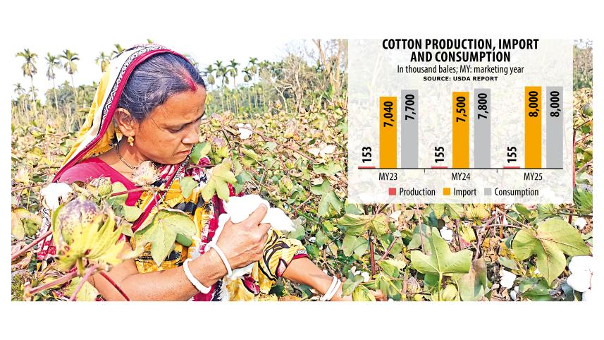 Cotton production, import and consumtion